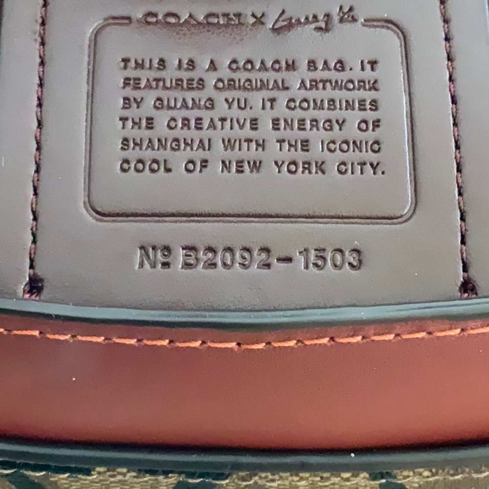 Coach x Guang Yu Beat Shoulder Bag 18 - Limited Edition 2020 Artist Collab - Picture 12 of 16